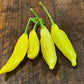 Lemon Drop Pepper Seeds