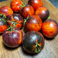 Queen of the Night Tomato Seeds