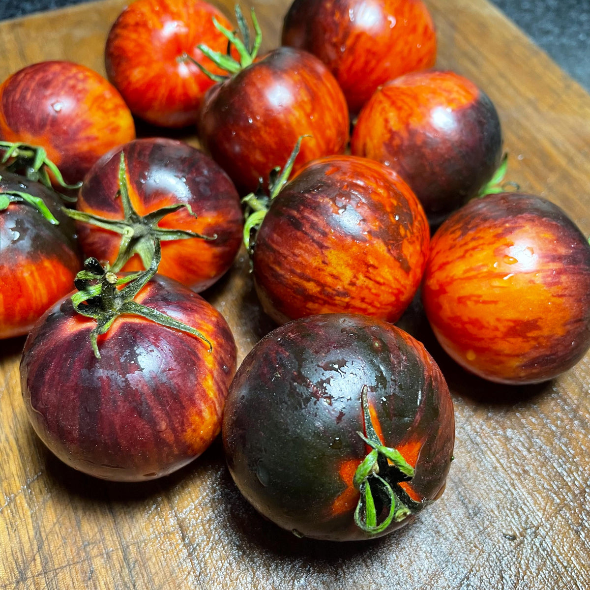 Queen of the Night Tomato Seeds