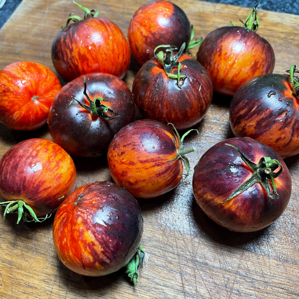 Queen of the Night Tomato Seeds