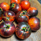 Queen of the Night Tomato Seeds