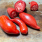 Opalka Tomato Seeds