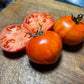 Feuerwerk Tomato Seeds