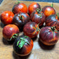 Queen of the Night Tomato Seeds