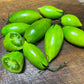 Green Tiger Tomato Seeds