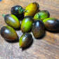 Brad's Atomic Grape Tomato Seeds