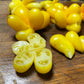Phil's One Tomato Seeds