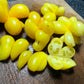 Phil's One Tomato Seeds