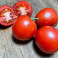 Manitoba Tomato Seeds