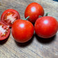 Manitoba Tomato Seeds