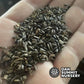 Jerusalem Artichoke Seeds
