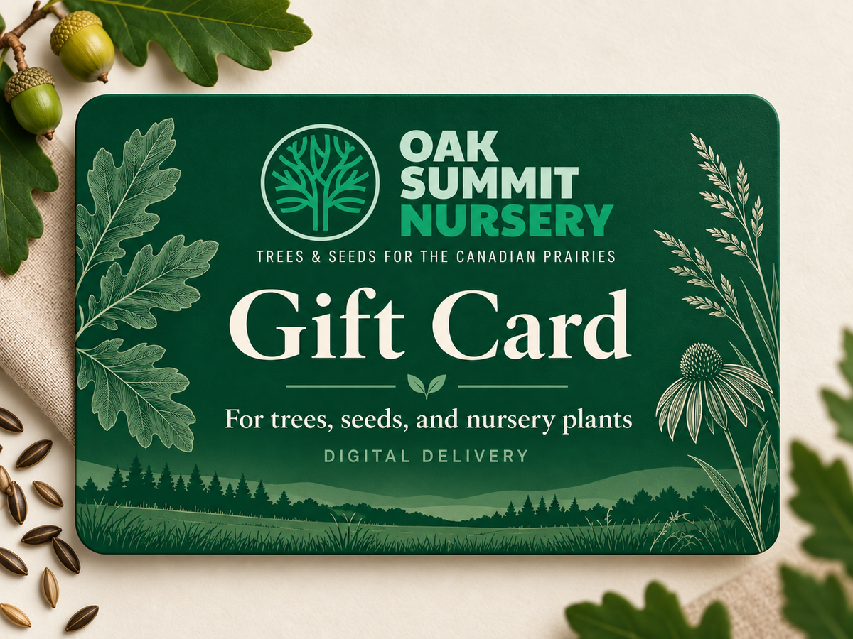 Tarjeta de regalo botánica de Oak Summit Nursery, entrega digital