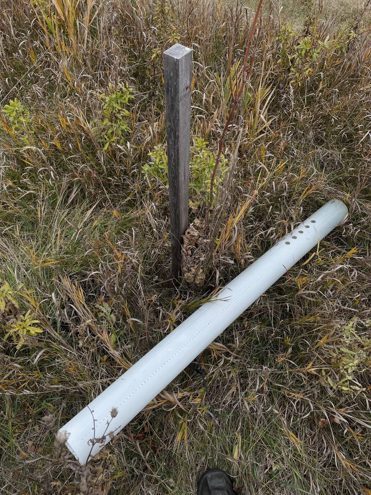 Los tubos protectores de árboles pueden llenarse de hierba; hoy ayudé en esta zona de @assiniboinefoodforest a quitar la hierba, podar un poco, imagen 2 de 4
