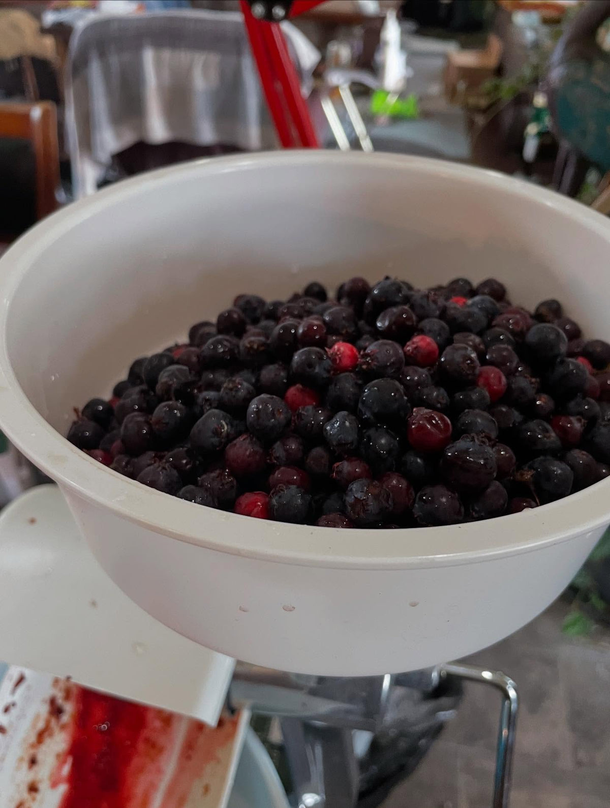 J’essaie cette machine pour extraire la pulpe des petits fruits et séparer les semences, image 2 sur 2