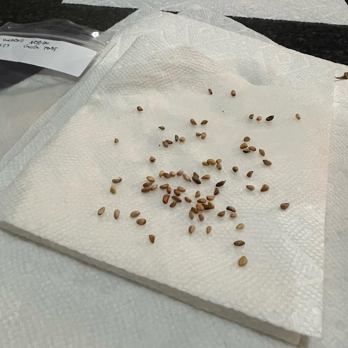 probando la estratificación / acondicionamiento con el método del papel de cocina descrito por el fallecido Dr, imagen 2 de 3