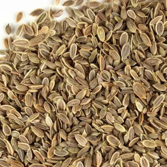 Dill Seeds