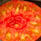 Hazel Mae Tomato Seeds