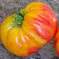 Hazel Mae Tomato Seeds