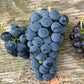 Valiant Grape Seeds