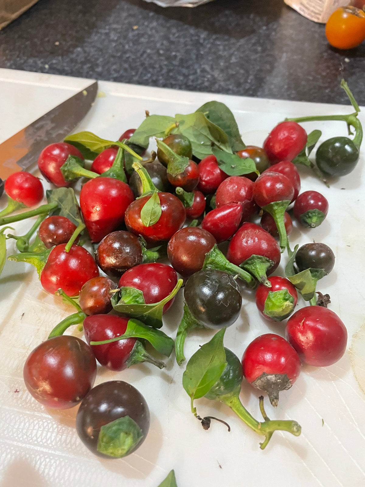 Semillas de pimiento Sweet Cherry Pimento