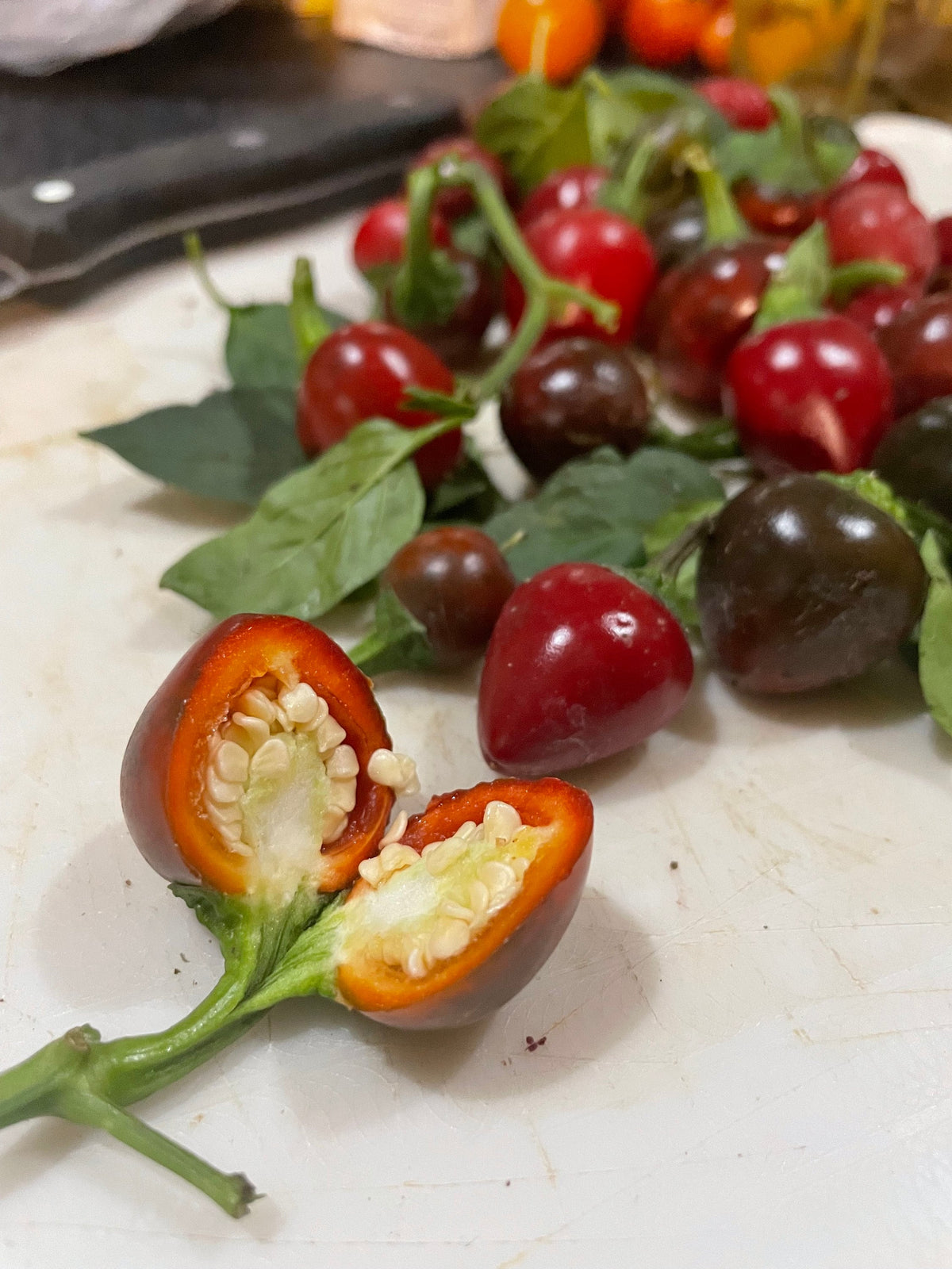Semillas de pimiento Sweet Cherry Pimento