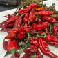 Graines de piment Shishito