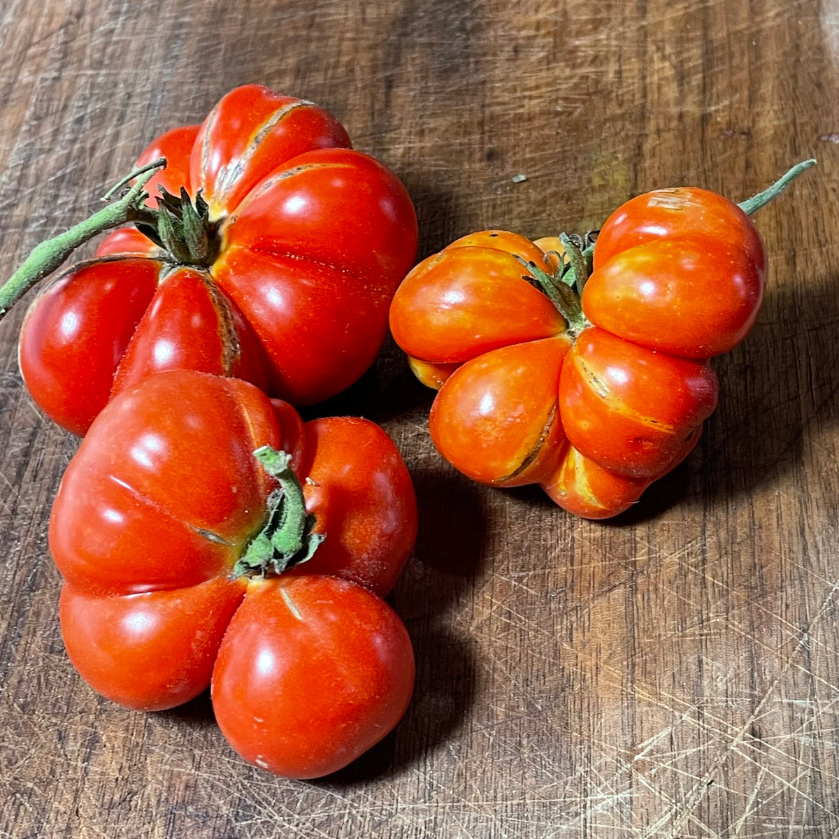 Godzilla Tomato Seeds