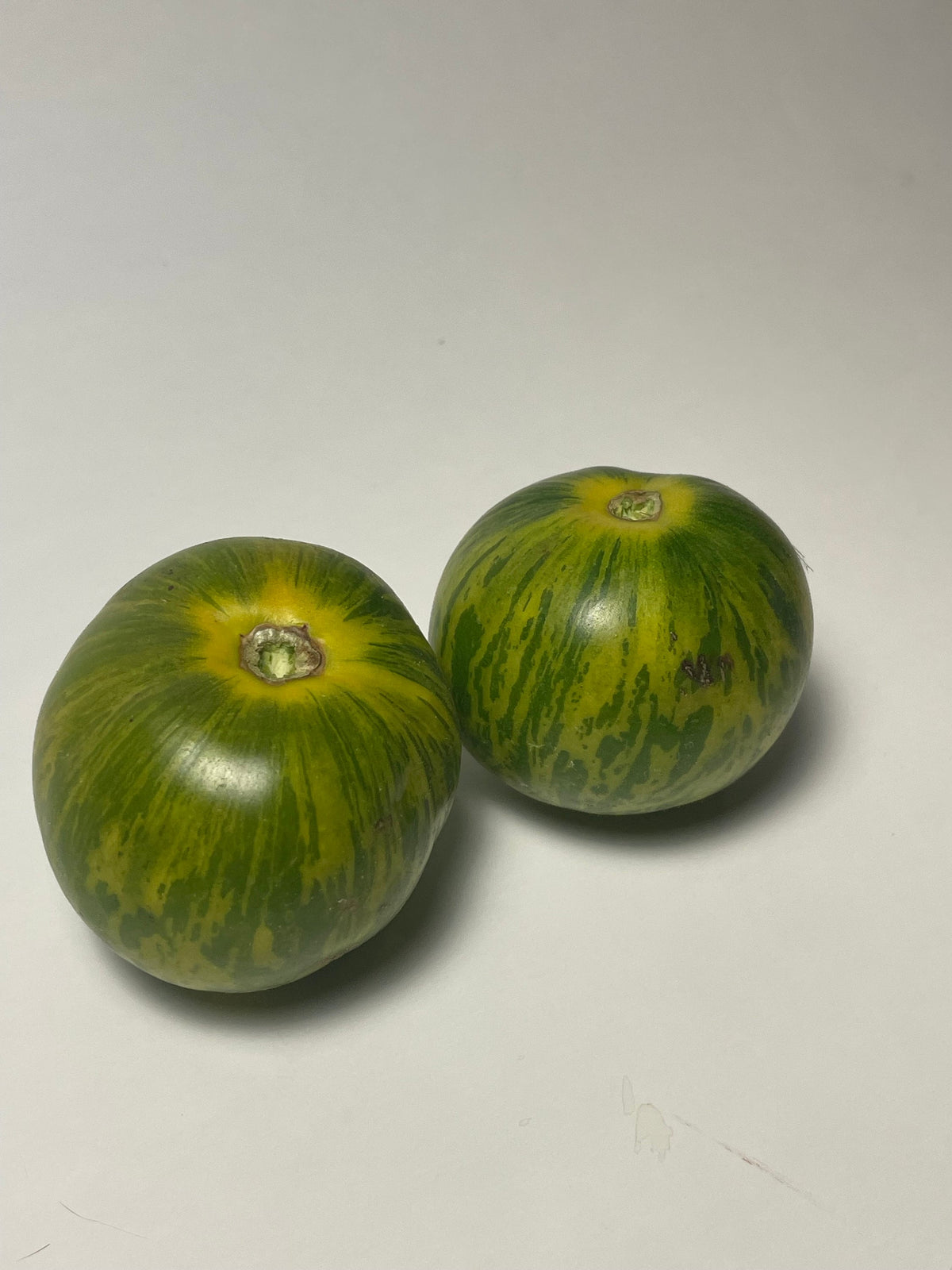 Graines de tomate Green Zebra