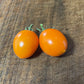 Sun Sugar XL Tomato Seeds