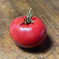 German Giant Tomato Seeds