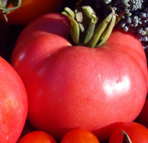 Pink Brandywine Tomato Seeds