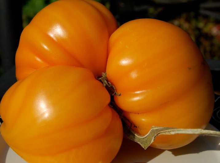 Orange Strawberry Tomato Seeds