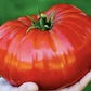 German Giant Tomato Seeds