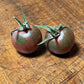 Black Cherry Tomato Seeds