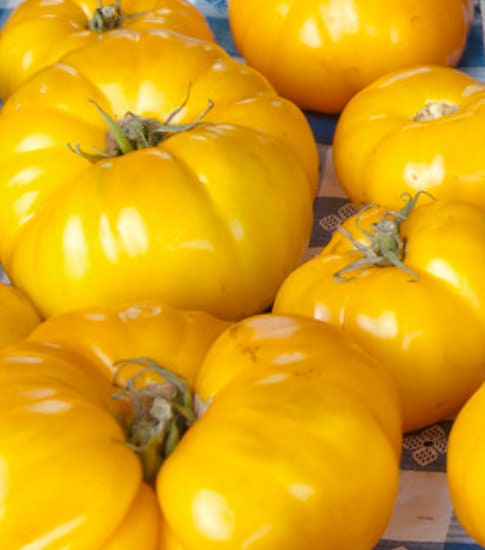 Lemony Tomato Seeds