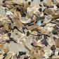 White Spruce Seeds